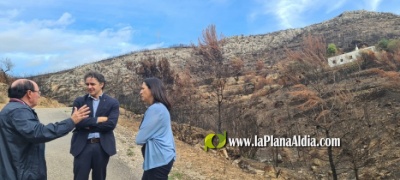 Colomer visita las zonas afectadas por el incendio de Les Useres y remarca 'la necesidad de recuperar el paisaje para la recuperación del sector turístico'