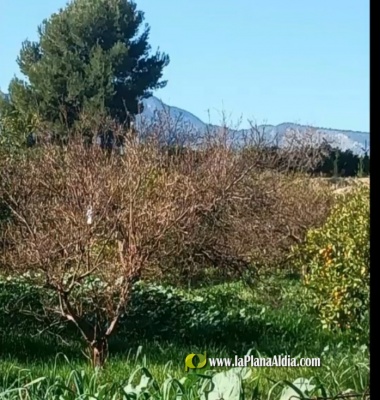 Fotografia /Galeria/2023/1/203375_128322/2_M1.jpg