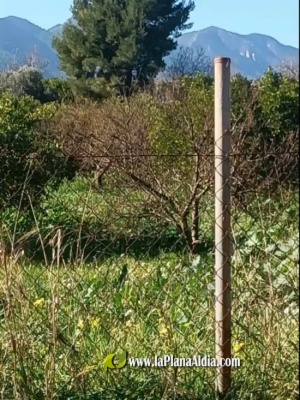 Fotografia /Galeria/2023/1/203375_128322/3_M1.jpg