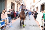 Nules celebra Sant Antoni