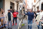 Nules celebra Sant Antoni