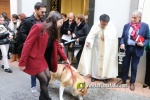 Nules celebra Sant Antoni