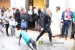 Nules celebra Sant Antoni