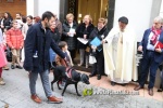 Nules celebra Sant Antoni
