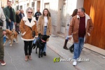 Nules celebra Sant Antoni