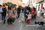 Nules celebra Sant Antoni