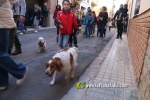 La Vall d'Uix? va festejar Sant Antoni