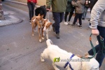 La Vall d'Uix? va festejar Sant Antoni