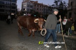 Borriana va festejar Sant Antoni