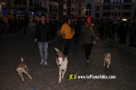 Borriana va festejar Sant Antoni