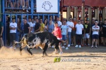 Les Alqueries inicia les exhibicions taurines