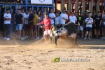 Les Alqueries inicia les exhibicions taurines