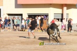 Les Alqueries inicia les exhibicions taurines