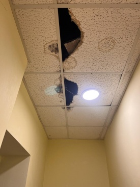 Fotografia /Galeria/2023/10/214577_135507/2_M1.jpg