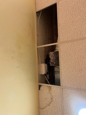 Fotografia /Galeria/2023/10/214577_135507/4_M1.jpg