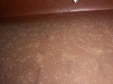 Fotografia /Galeria/2023/10/214577_135507/5_M1.jpg