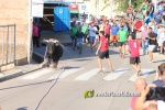 'El bou en corda' va tornar a rec?rrer el terme municipal de les Alqueries