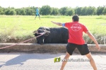 'El bou en corda' va tornar a rec?rrer el terme municipal de les Alqueries