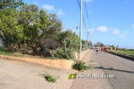 'El bou en corda' va tornar a rec?rrer el terme municipal de les Alqueries