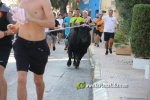 'El bou en corda' va tornar a rec?rrer el terme municipal de les Alqueries