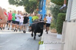 'El bou en corda' va tornar a rec?rrer el terme municipal de les Alqueries