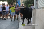 'El bou en corda' va tornar a rec?rrer el terme municipal de les Alqueries