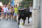 'El bou en corda' va tornar a rec?rrer el terme municipal de les Alqueries