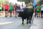 'El bou en corda' va tornar a rec?rrer el terme municipal de les Alqueries