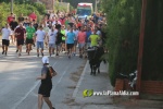 'El bou en corda' va tornar a rec?rrer el terme municipal de les Alqueries