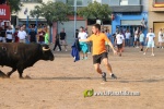 Les Alqueries tanca les exhibicions taurines de les festes patronals de la Mare de D?u del Ni?o Perdido