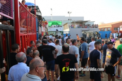 Fotografia /Galeria/2023/10/214865_135711/2_M1.jpg