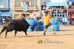 Les Alqueries tanca les exhibicions taurines de les festes patronals de la Mare de D?u del Ni?o Perdido