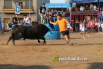 Les Alqueries tanca les exhibicions taurines de les festes patronals de la Mare de D?u del Ni?o Perdido