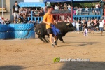 Les Alqueries tanca les exhibicions taurines de les festes patronals de la Mare de D?u del Ni?o Perdido