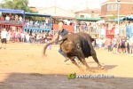 Les Alqueries tanca les exhibicions taurines de les festes patronals de la Mare de D?u del Ni?o Perdido