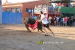 Les Alqueries tanca les exhibicions taurines de les festes patronals de la Mare de D?u del Ni?o Perdido