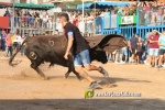 Les Alqueries tanca les exhibicions taurines de les festes patronals de la Mare de D?u del Ni?o Perdido