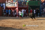 Les Alqueries tanca les exhibicions taurines de les festes patronals de la Mare de D?u del Ni?o Perdido