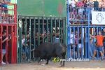 Les Alqueries tanca les exhibicions taurines de les festes patronals de la Mare de D?u del Ni?o Perdido