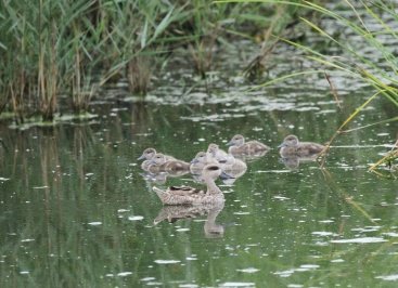 Fotografia /Galeria/2023/10/214981_135781/3_M1.jpg