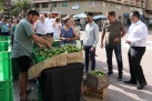 El Mercat de la Taronja deixa bones sensacions en el primer diumenge d'activitat