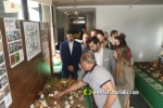 Fin e semana con tres ferias y un encuentro nacional de bolilleras en Alcora