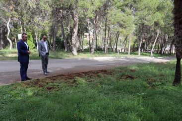 Fotografia /Galeria/2023/10/215738_136269/2_M1.jpg