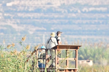 Fotografia /Galeria/2023/10/215836_136321/5_M1.jpg