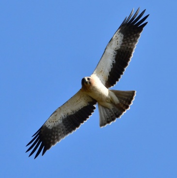 Fotografia /Galeria/2023/10/215836_136321/6_M1.jpg