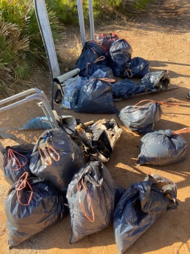 Fotografia /Galeria/2023/11/217628_137493/3_M1.jpg