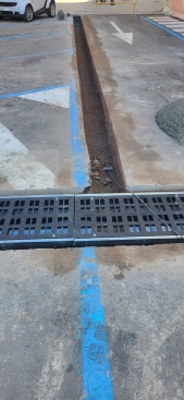 Fotografia /Galeria/2023/11/217673_137522/4_M1.jpg