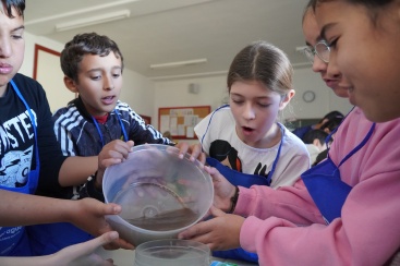 Fotografia /Galeria/2023/11/217969_137702/4_M1.jpg