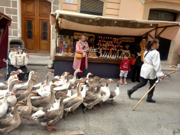 Fotografia /Galeria/2023/11/218109_137791/2_M1.jpg