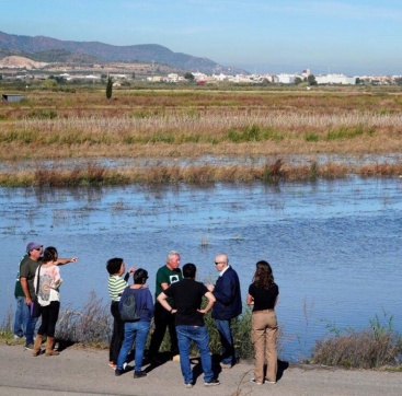 AE-Agró: 'La Marjal d'Almenara está en situación crítica de recursos hídricos'